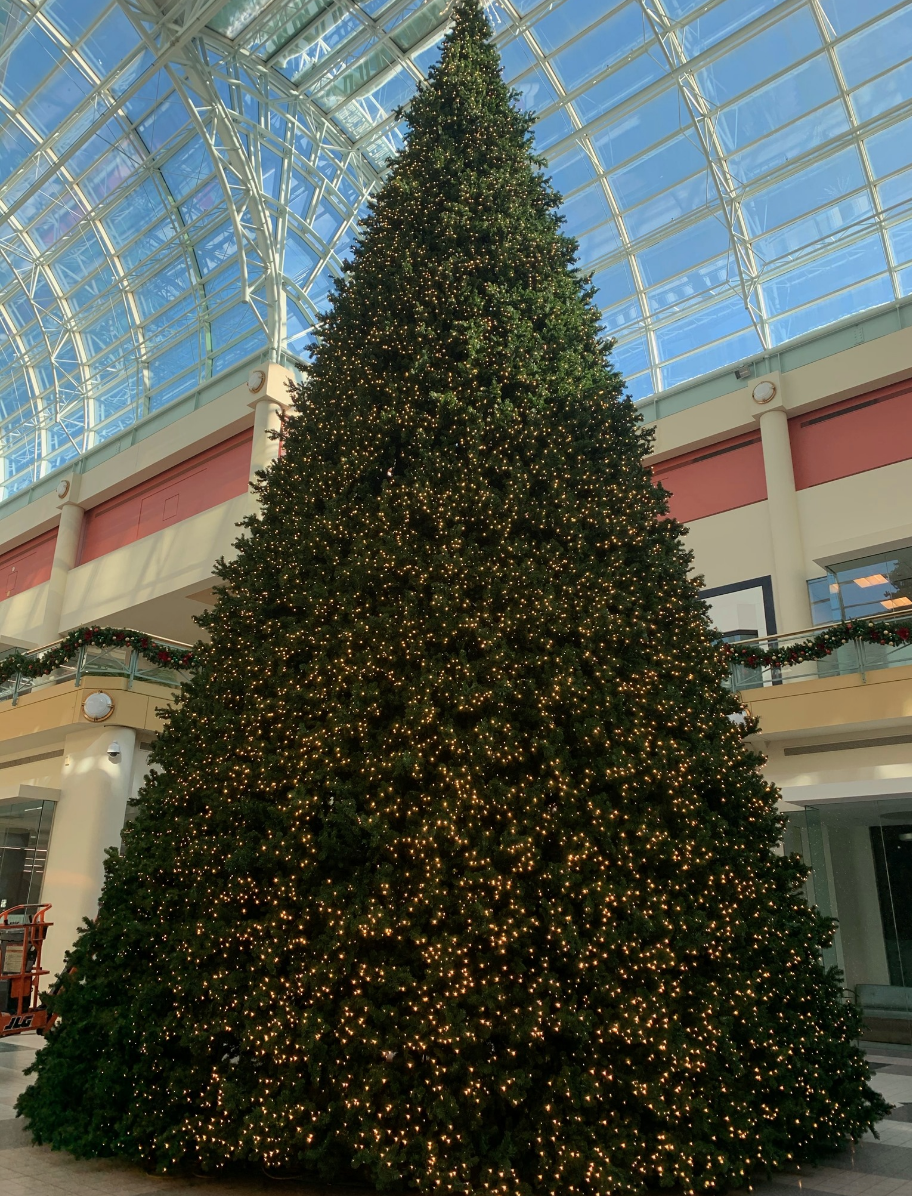 ScreenShot2020 12 11at5.50.34PM