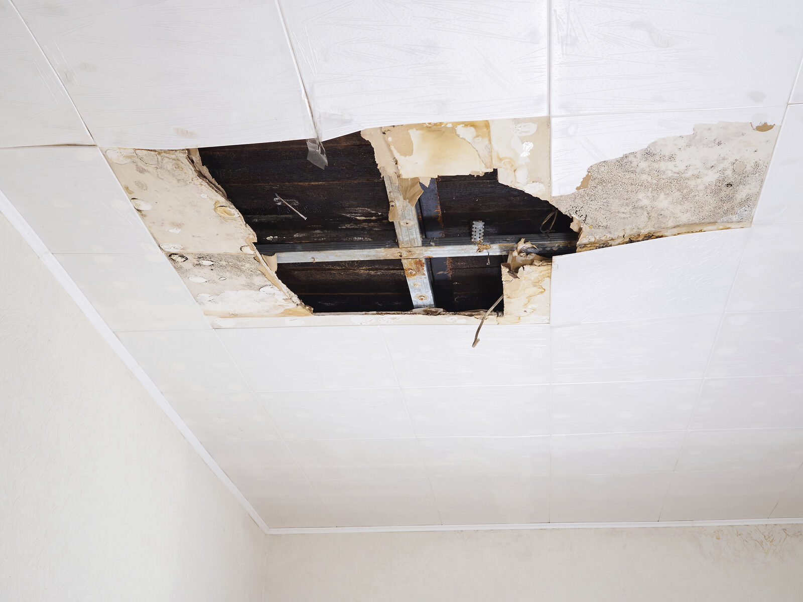 roof damage