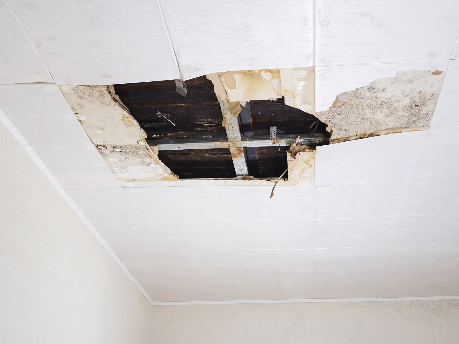 roof damage