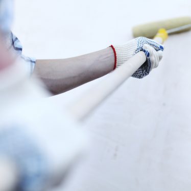 interior painting roller
