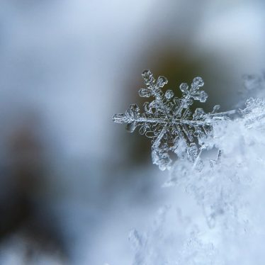 unsplash image 5AiWn2U10cw